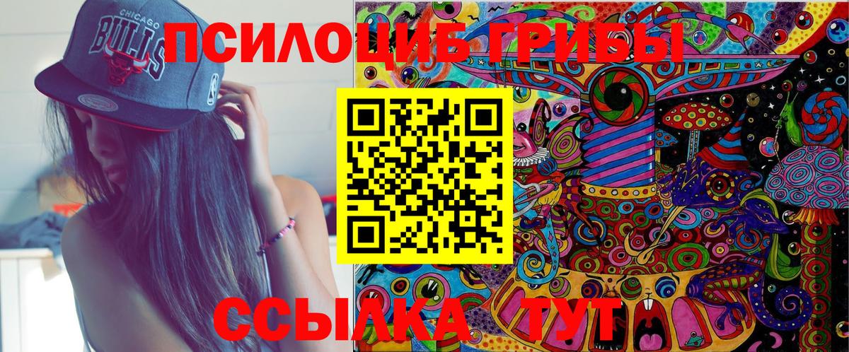 Кисловодск  Галлюциногенные грибы Cubensis  Вход с VPN 