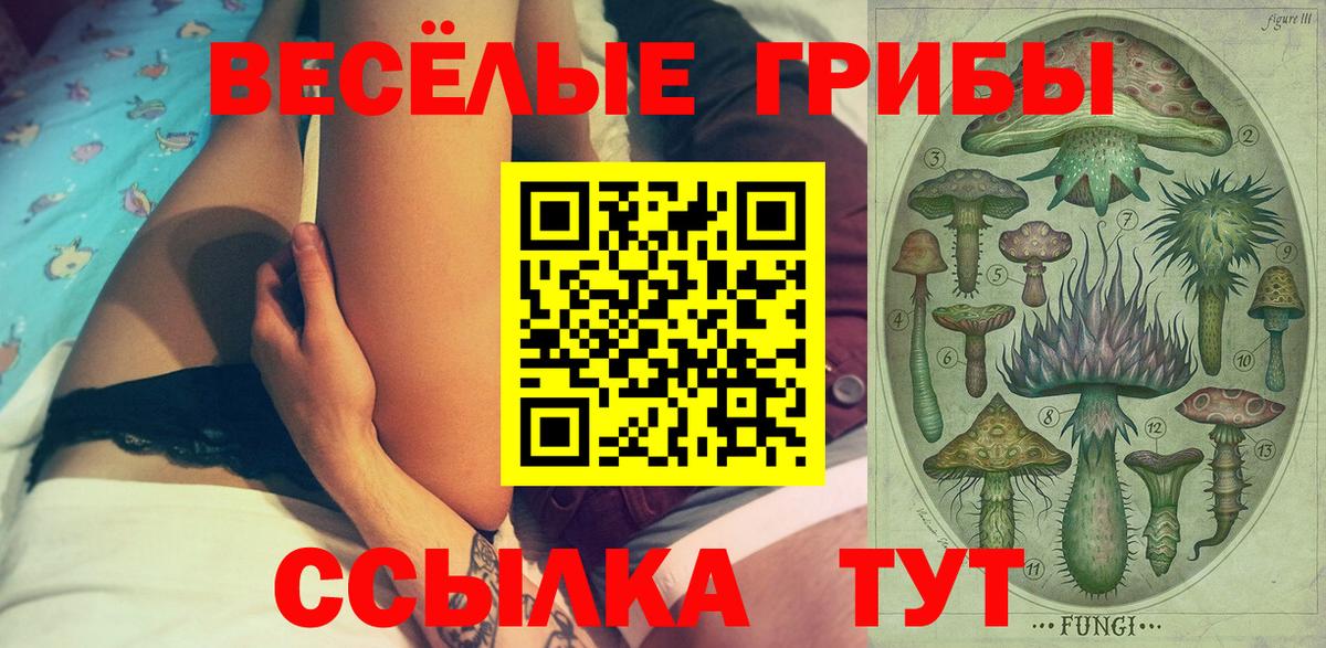 Псилоцибиновые грибы мицелий Кисловодск